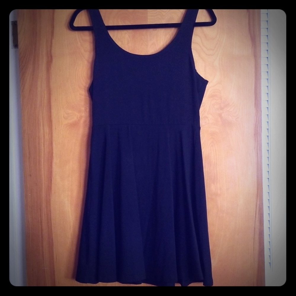 Express Fit and Flare Dress